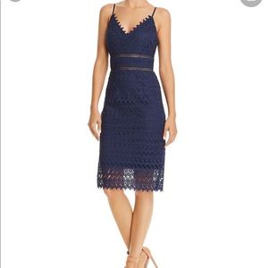 Aqua Scalloped Lace Sheath Dress